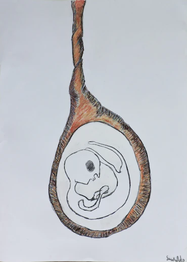 Cocoon