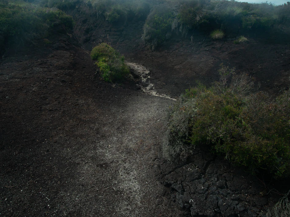 Positioning in the Chain of Creation by Thomas Meijerman...