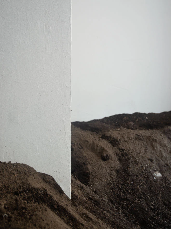 Positioning in the Chain of Creation by Thomas Meijerman...
