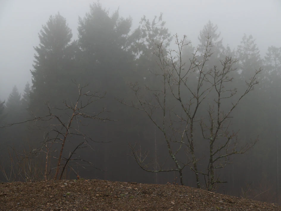 Positioning in the Chain of Creation by Thomas Meijerman...
