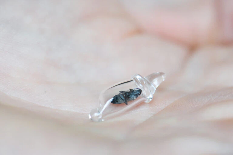 Cocoon by Kim  Gromoll...
