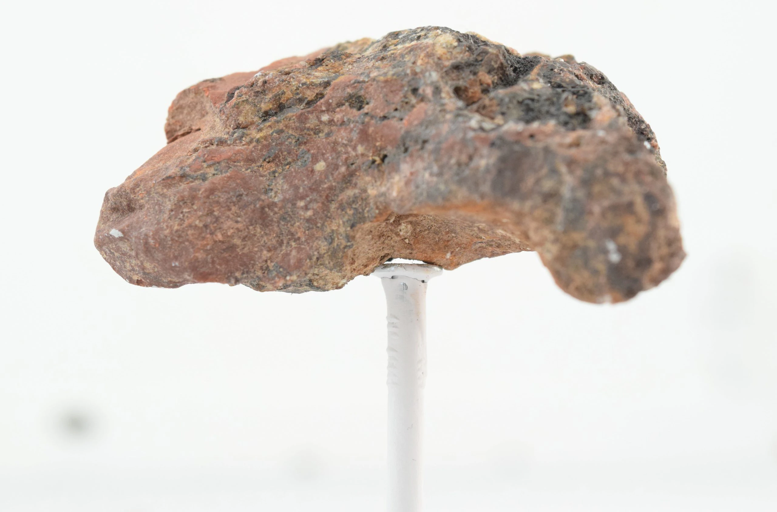 Stones by Kim  Gromoll...