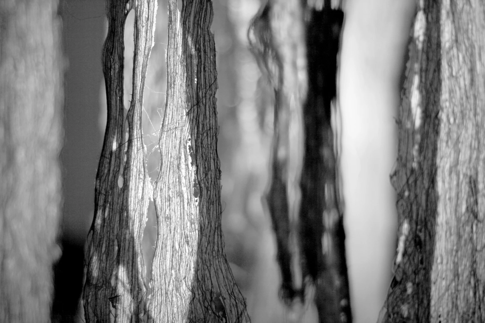 A se-cura da linha by Eunice Artur...