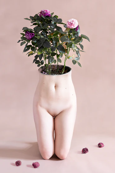 "Bloom"