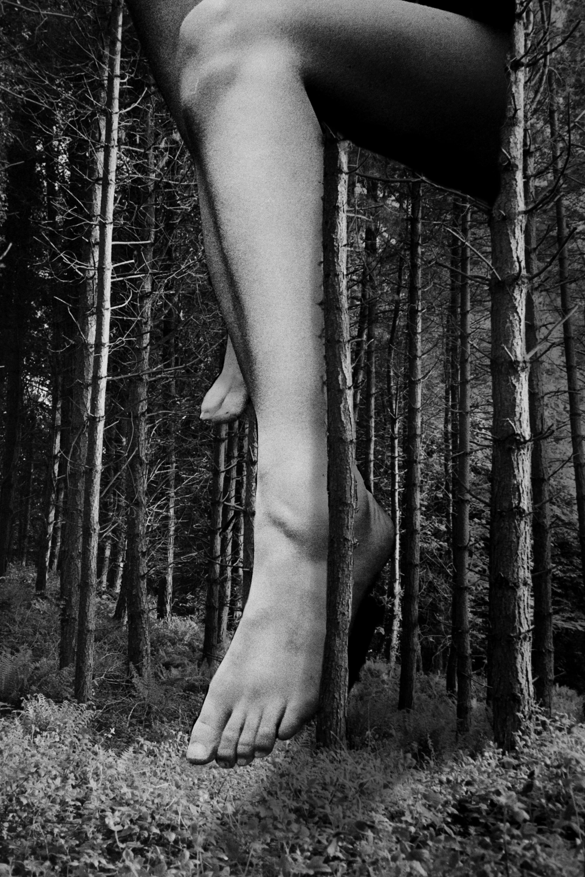 Naked Truce by Dora Lionstone...
