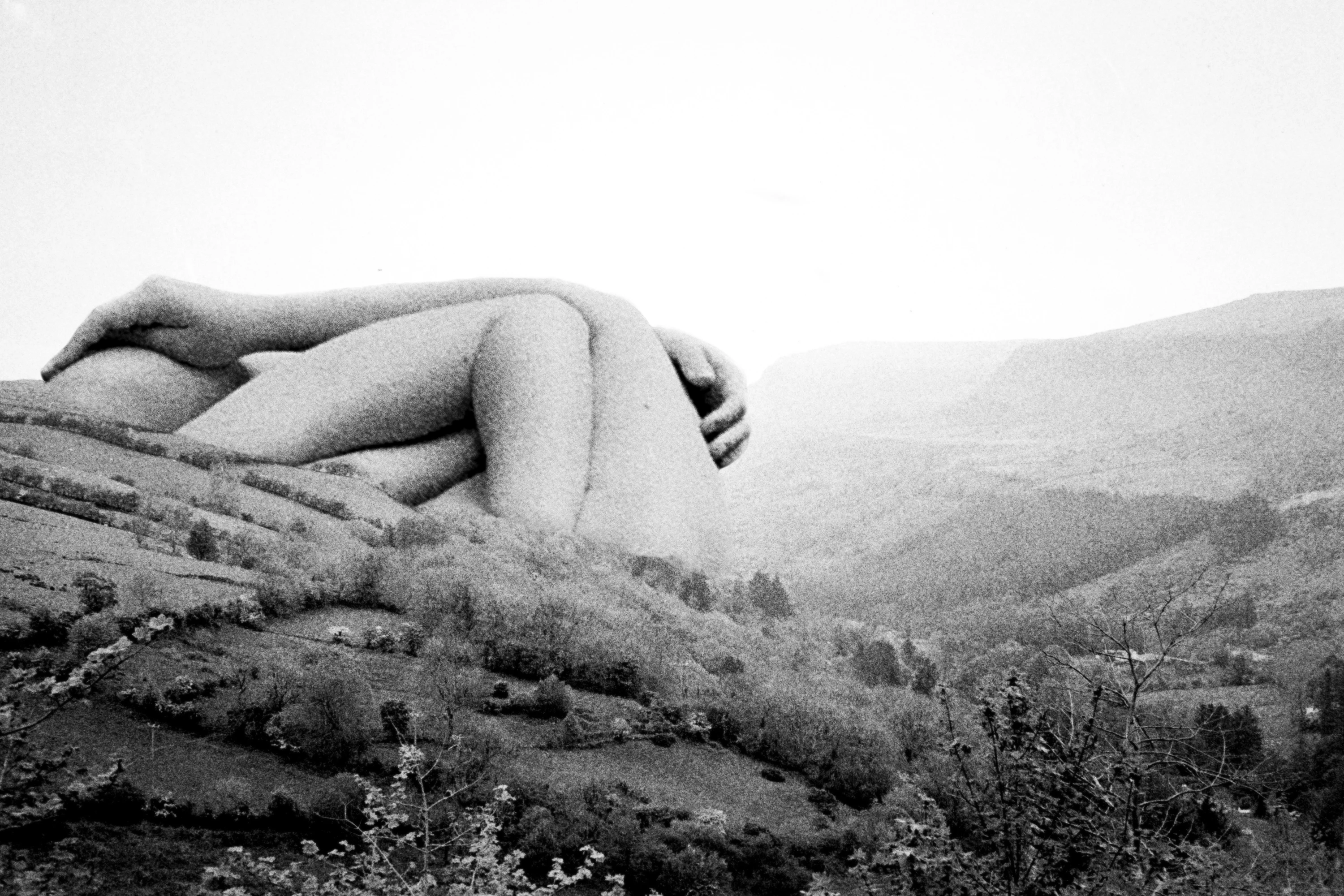 Naked Truce by Dora Lionstone...