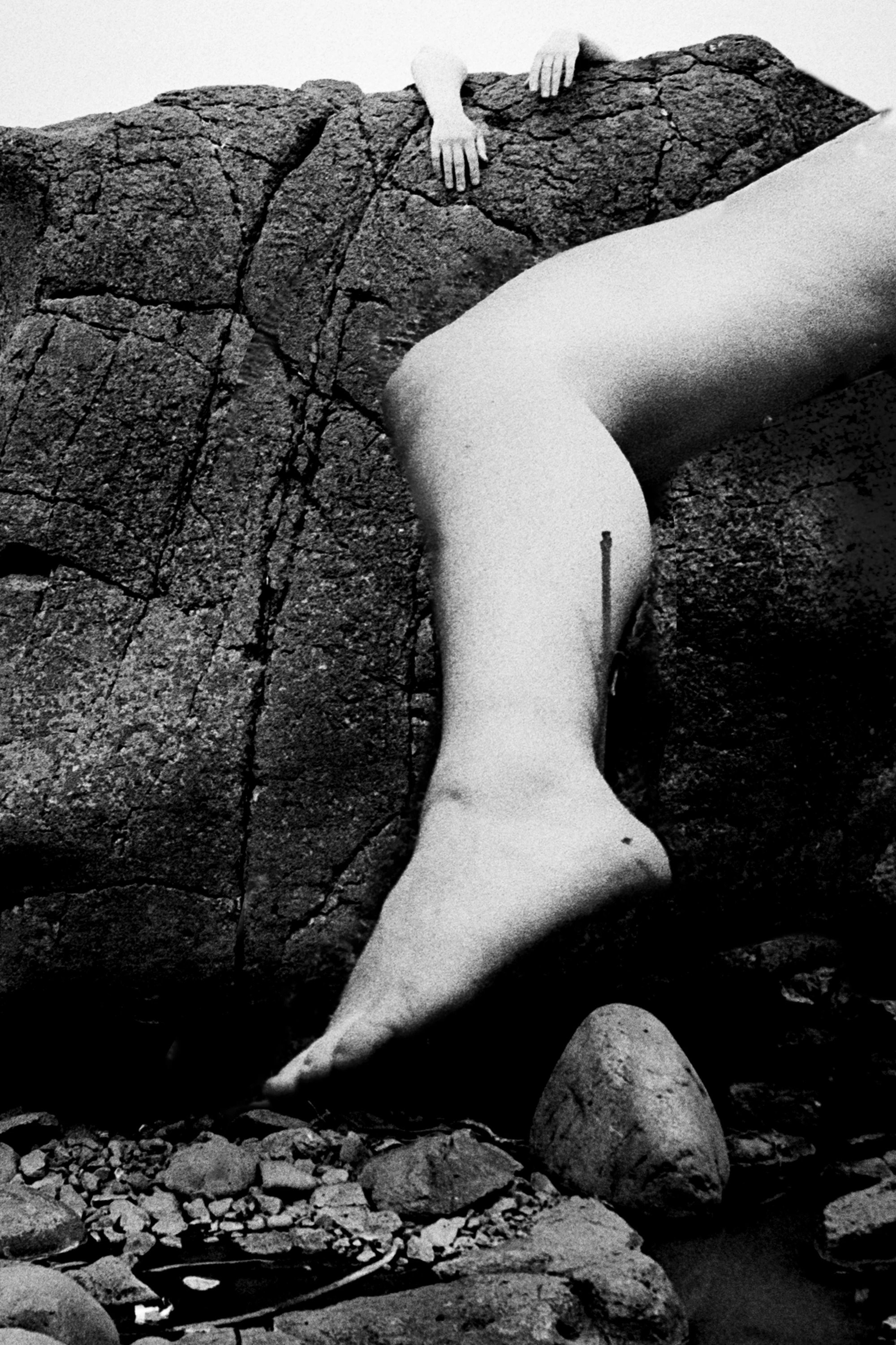 Naked Truce by Dora Lionstone...
