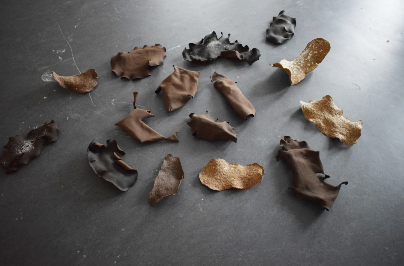 Paramecium capulus by META-colectivo...