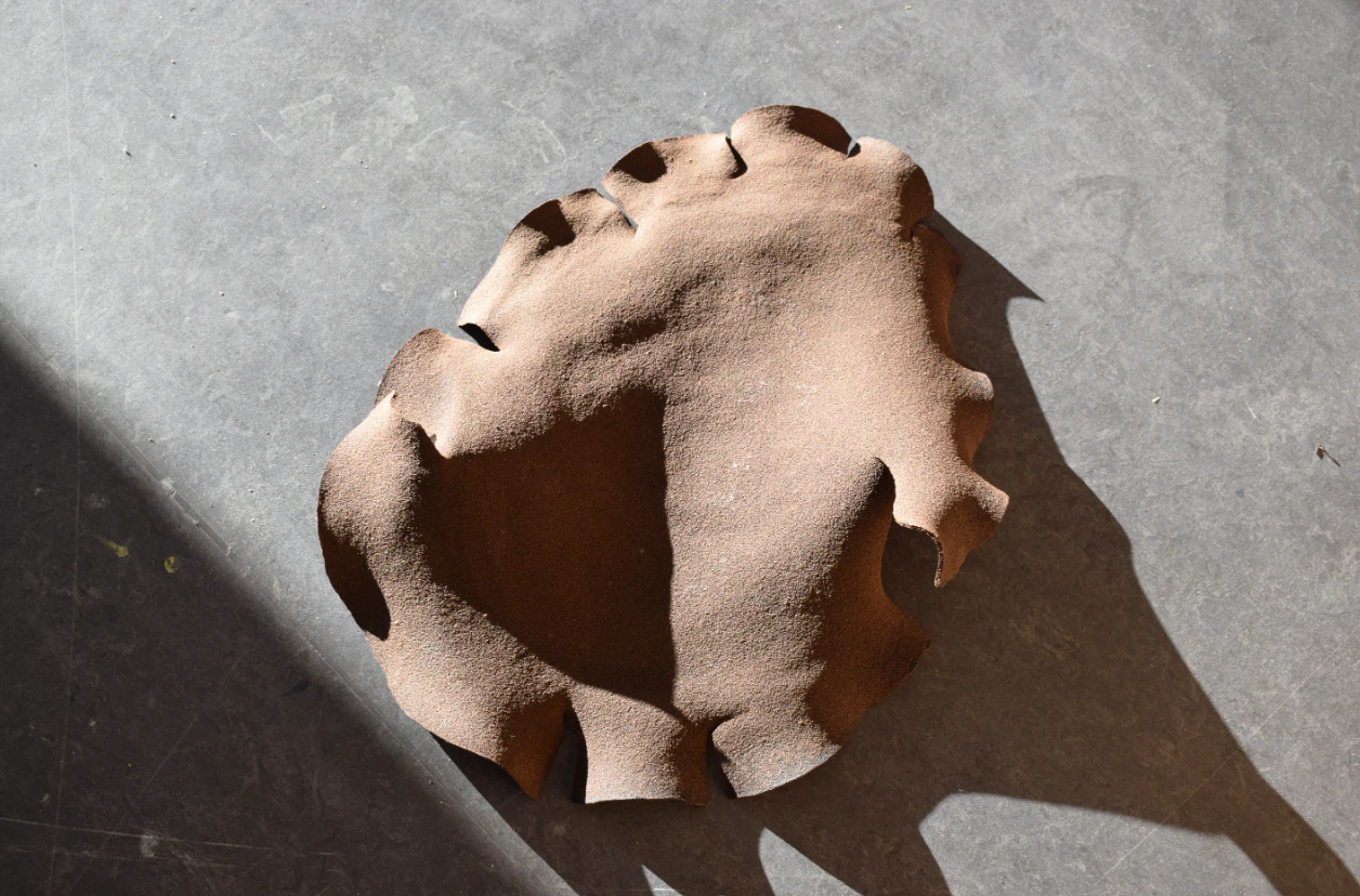 Paramecium capulus by META-colectivo...