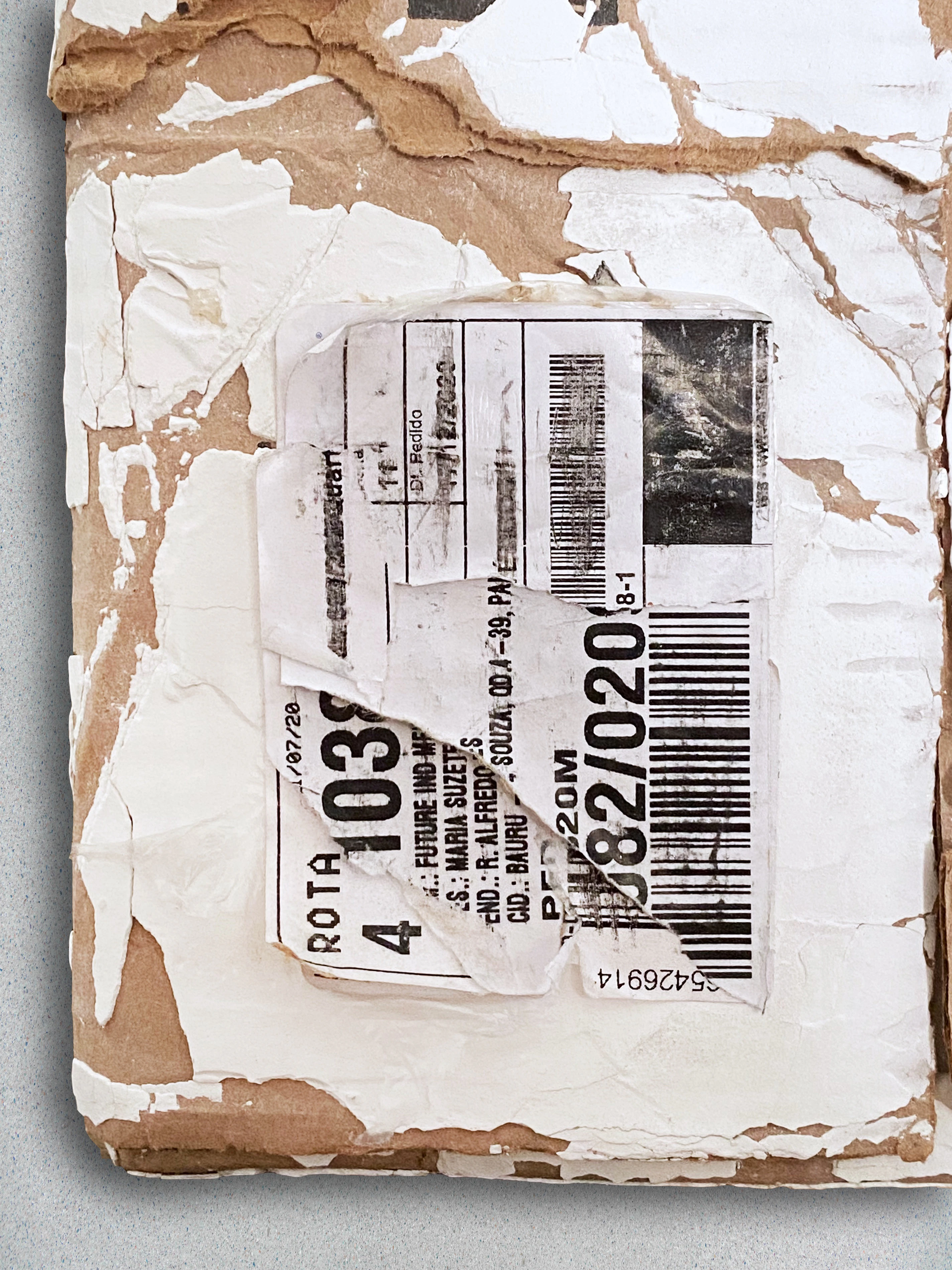 232 by Guilherme Borsatto...