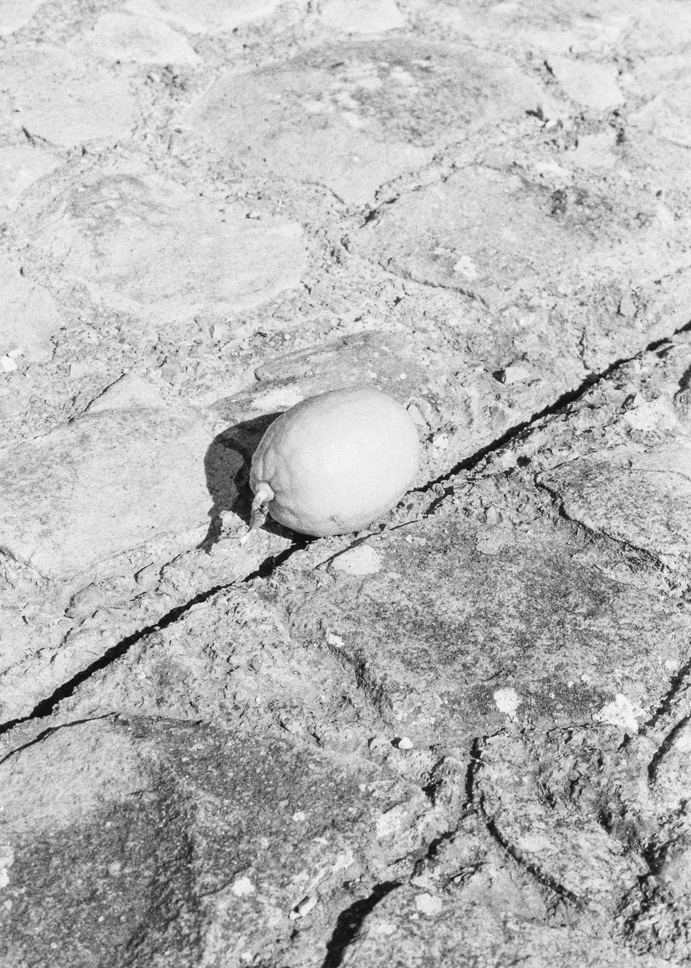 Melancholy & Resistance ArtConnect