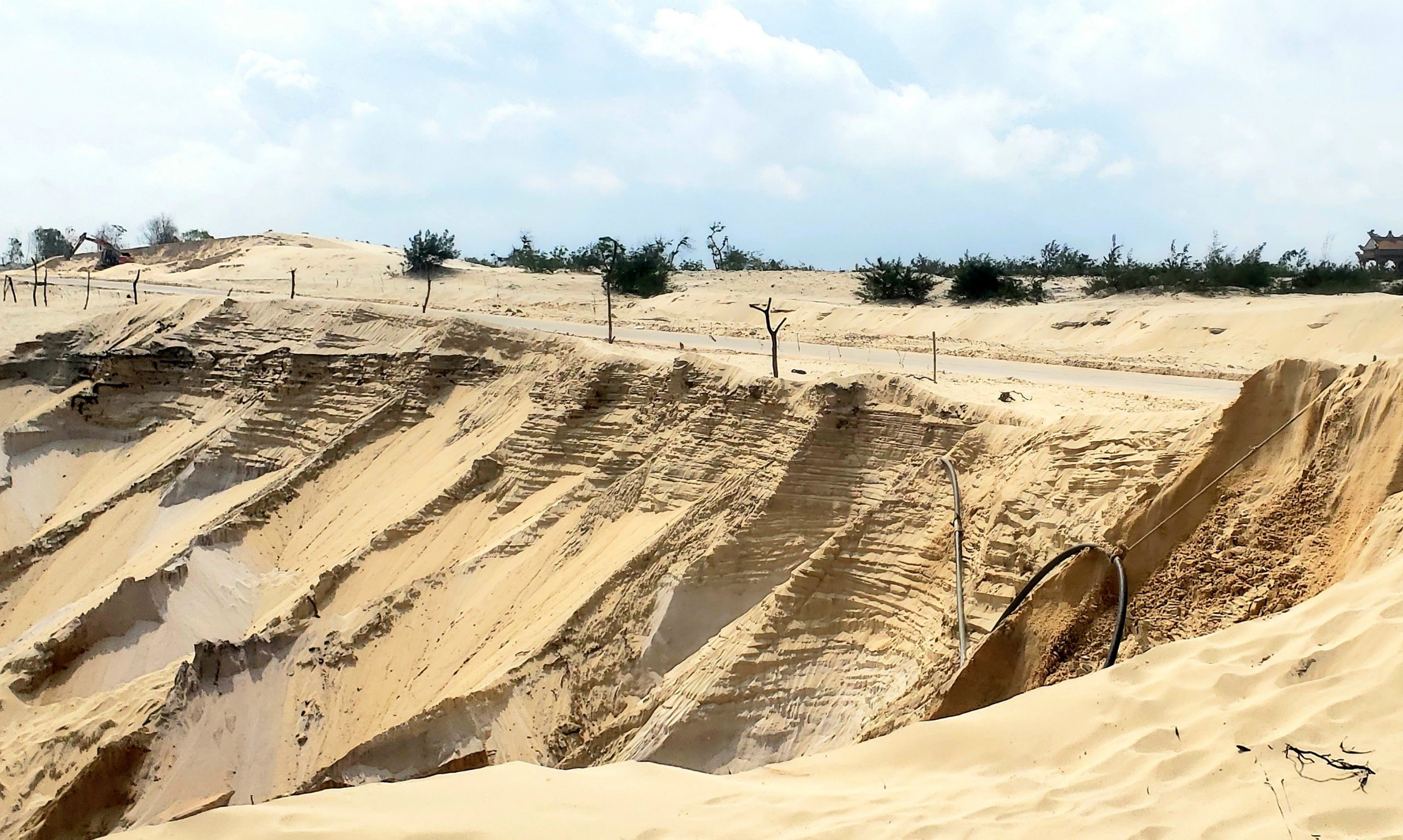 Golden land in the desert