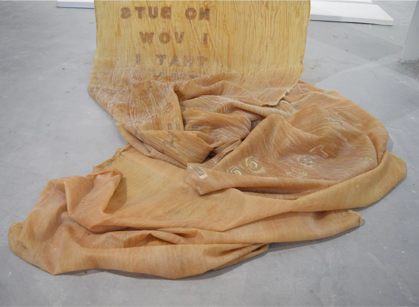 Healthy Adult: I Trust Myself, 2020. Latex and Sand [Installation], 752x83cm (Variable).