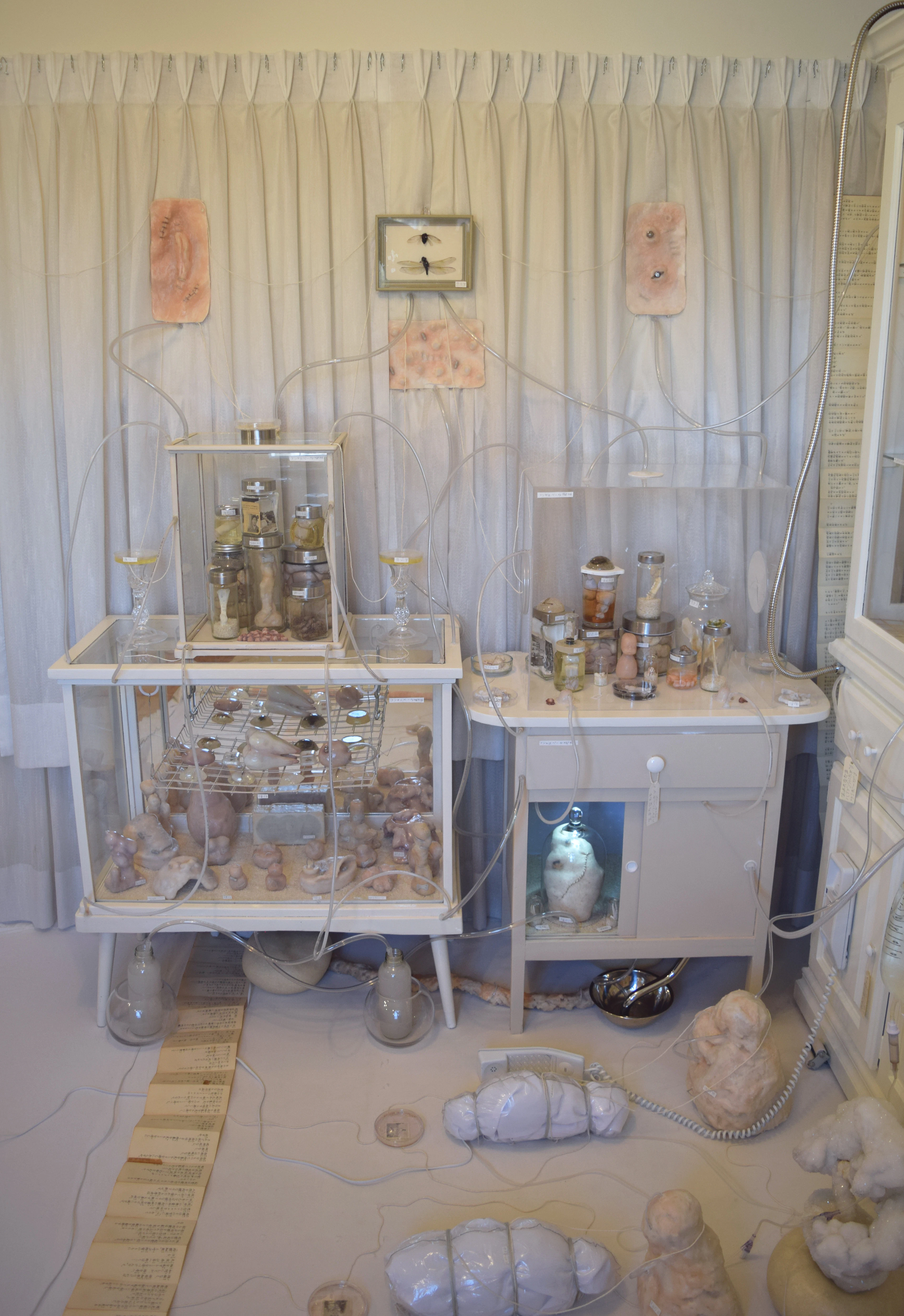 Warm Bodies, Ghostly Specimens, Stoic Machines | Installation by Marli Davis...
