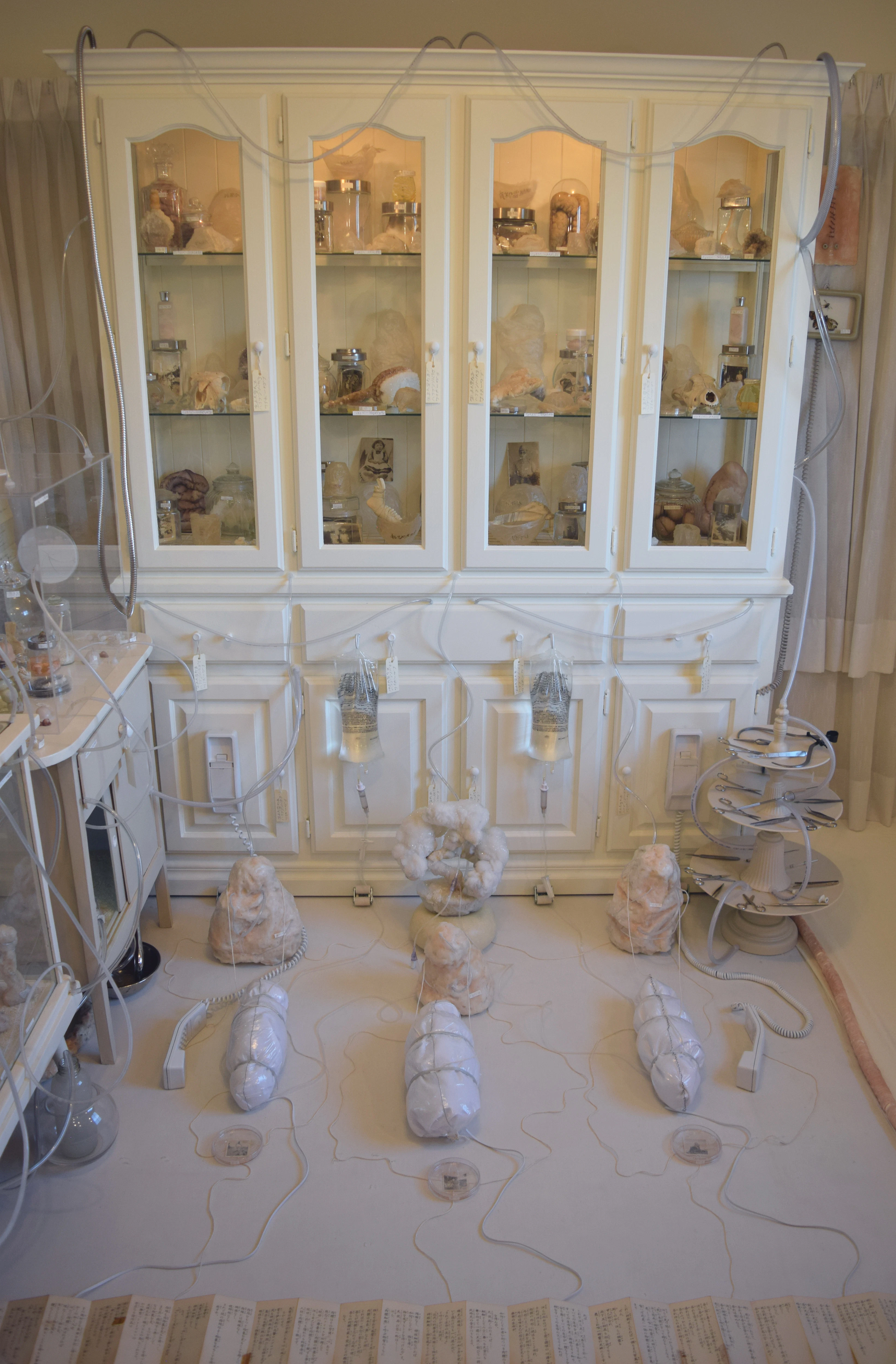 Warm Bodies, Ghostly Specimens, Stoic Machines | Installation by Marli Davis...