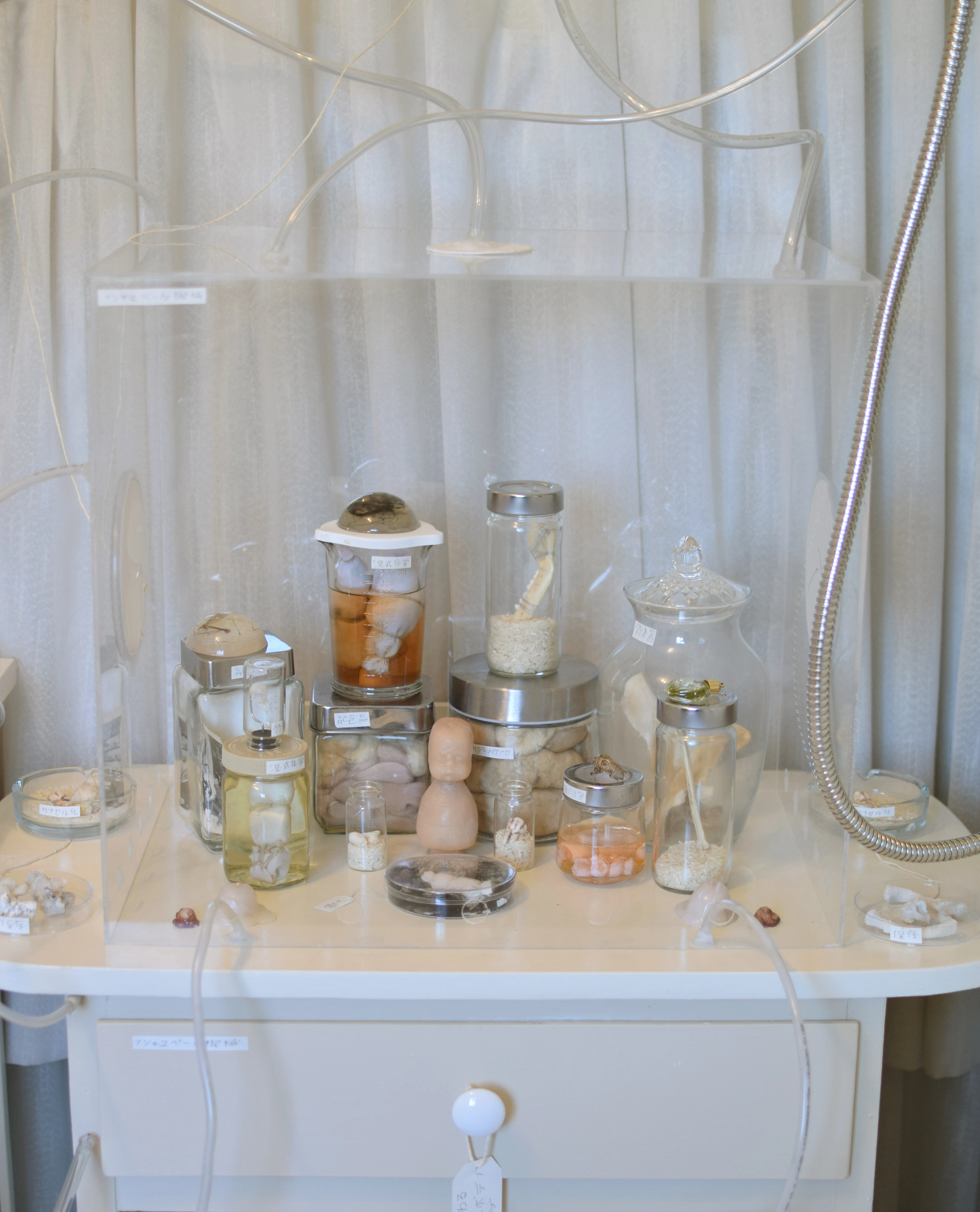 Warm Bodies, Ghostly Specimens, Stoic Machines | Installation by Marli Davis...
