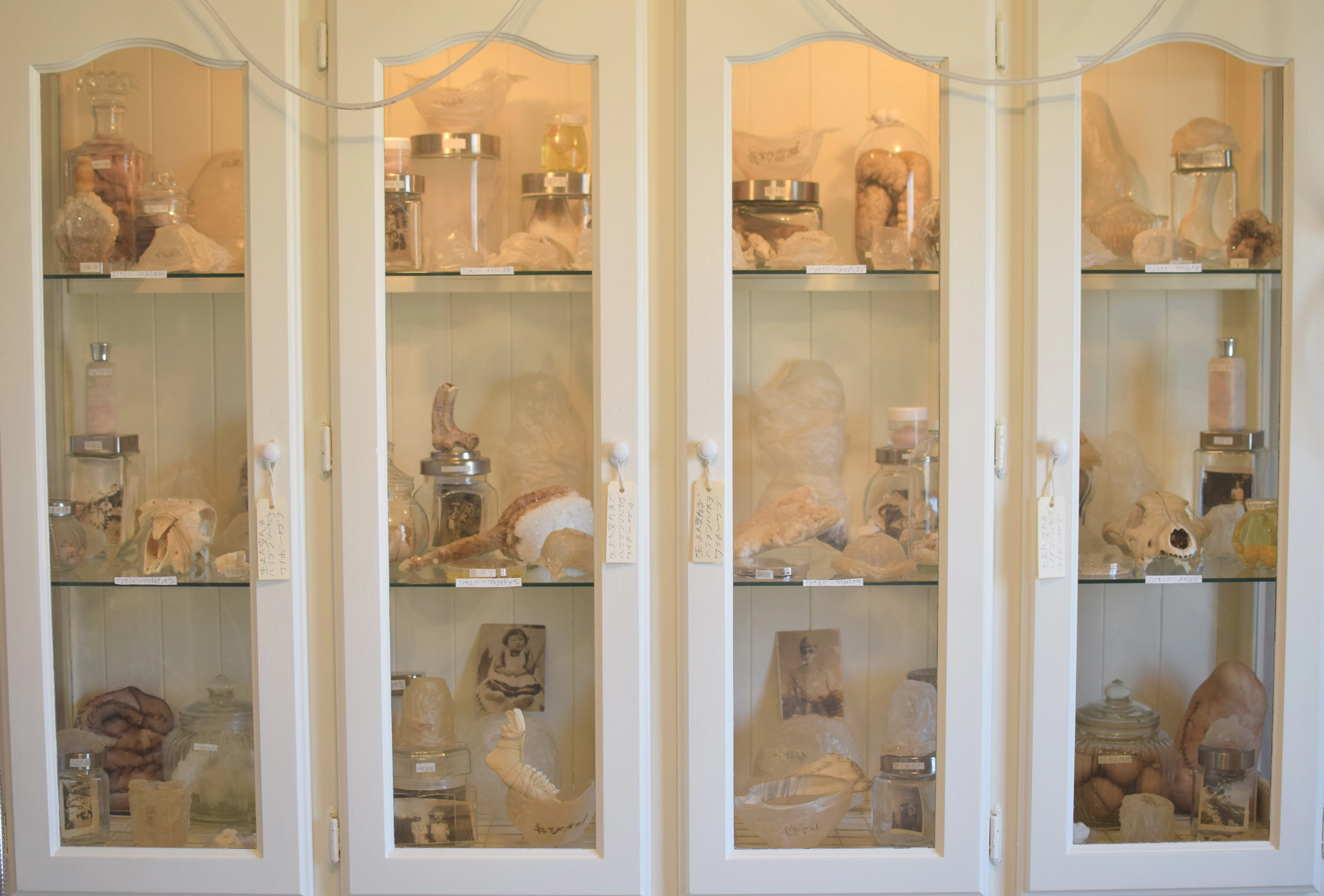 Warm Bodies, Ghostly Specimens, Stoic Machines | Installation by Marli Davis...
