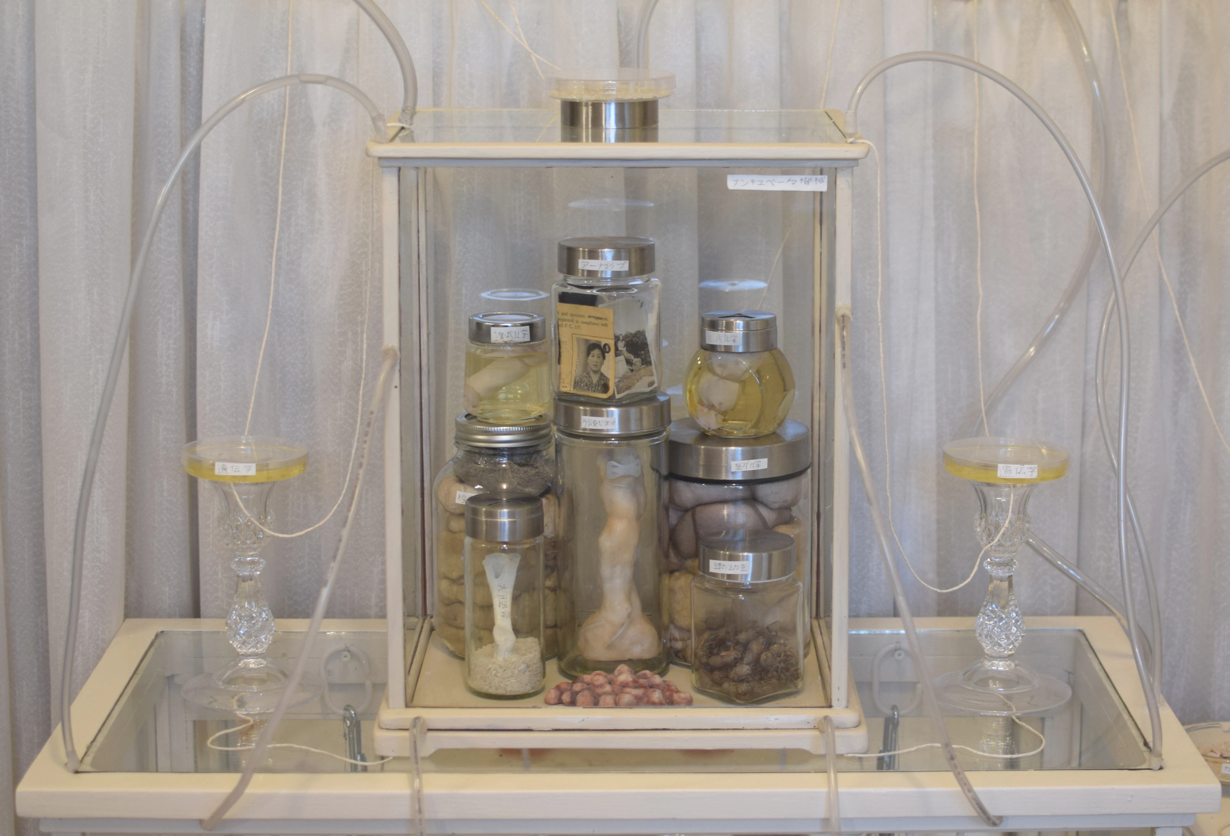 Warm Bodies, Ghostly Specimens, Stoic Machines | Installation by Marli Davis...