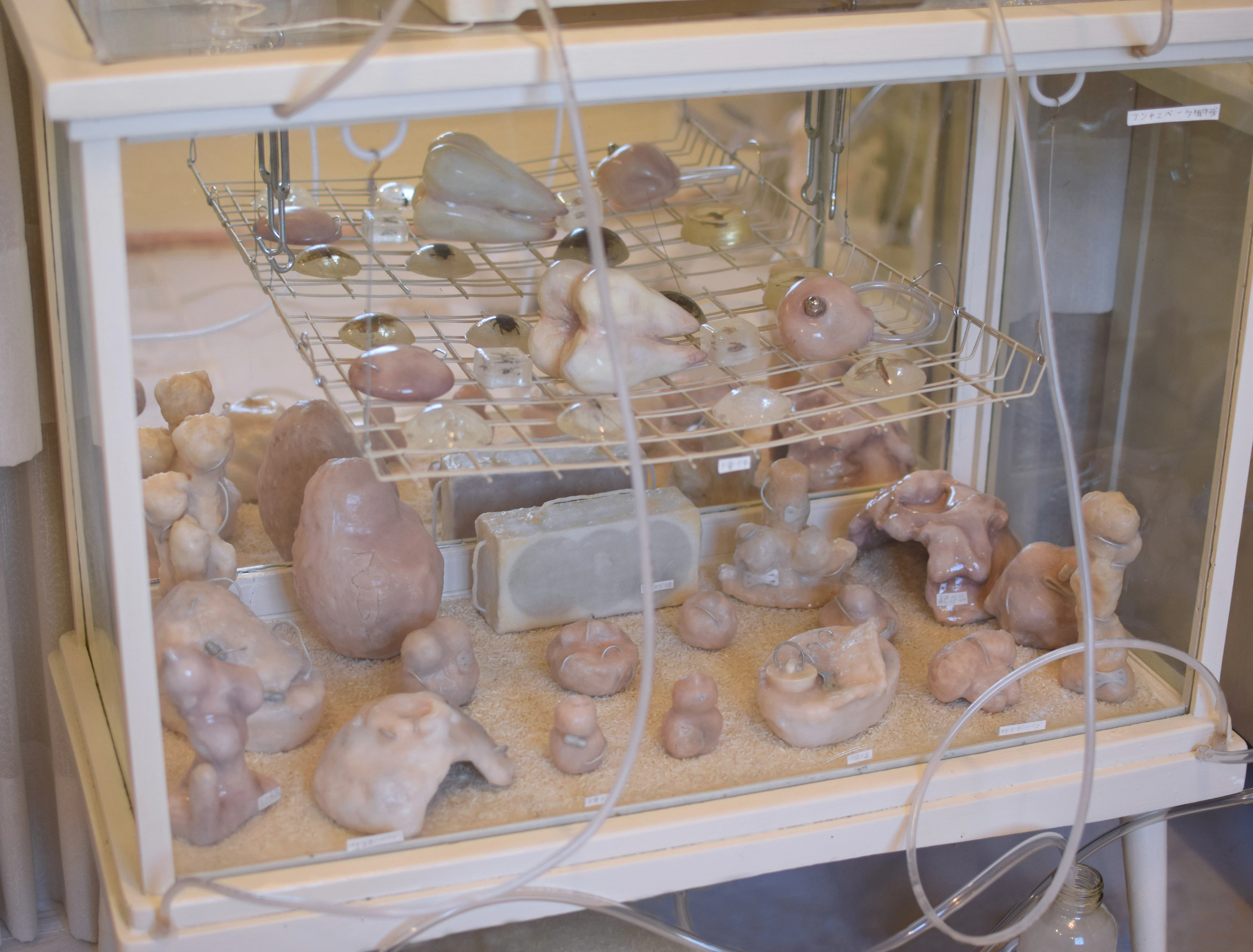 Warm Bodies, Ghostly Specimens, Stoic Machines | Installation by Marli Davis...