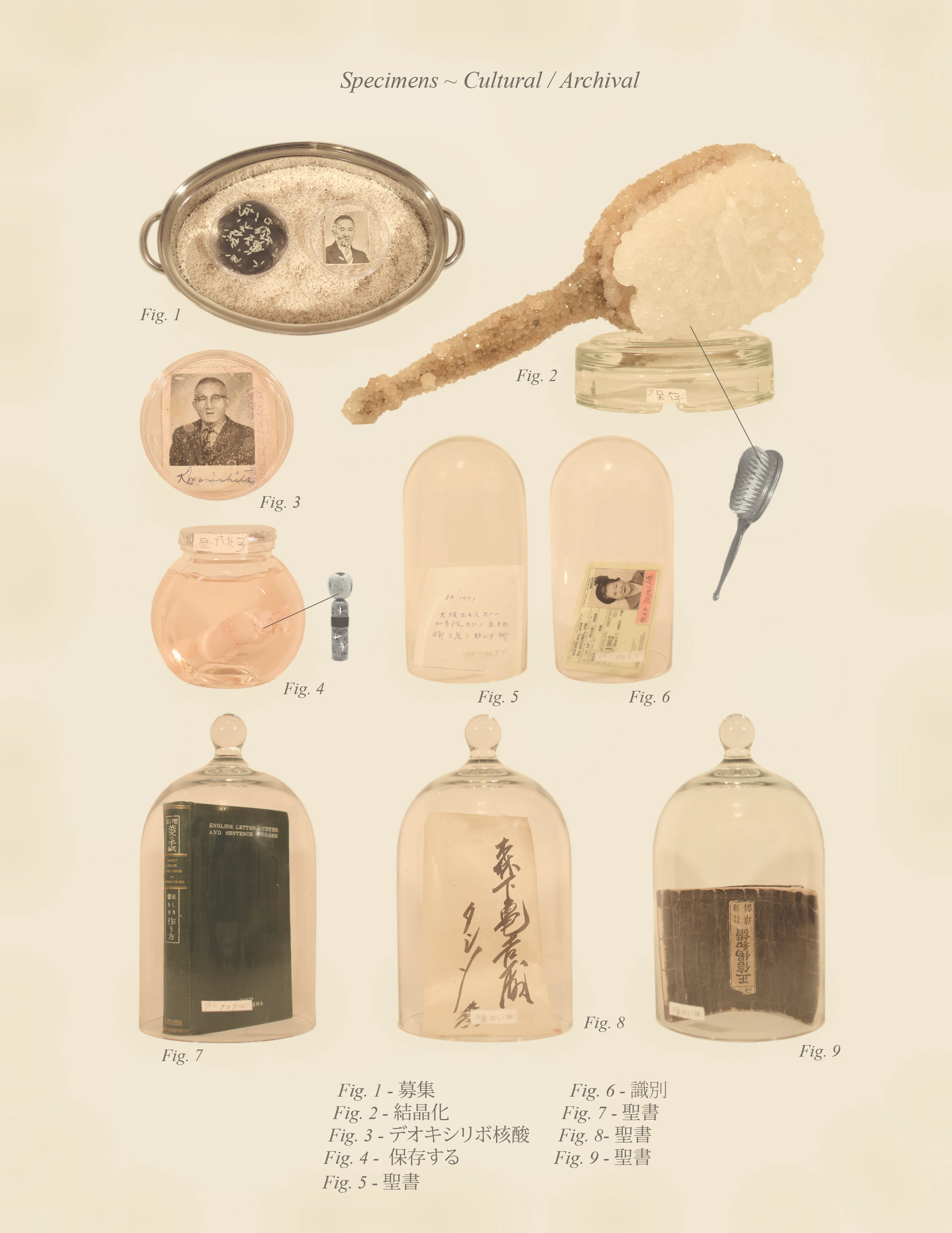 Warm Bodies, Ghostly Specimens, Stoic Machines | Textbook Pages by Marli Davis...
