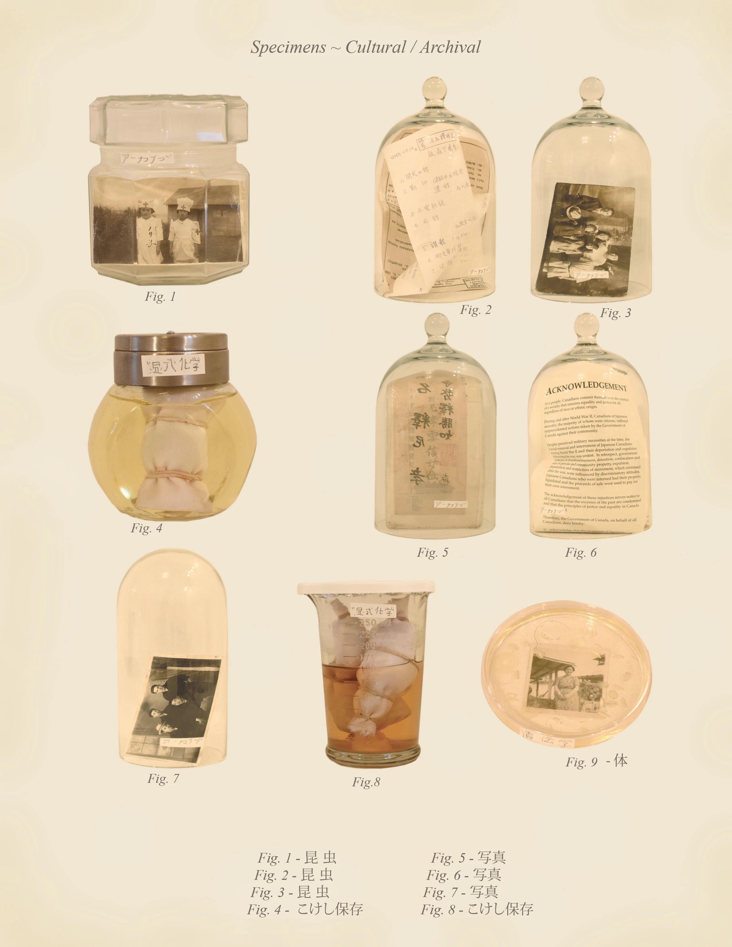 Warm Bodies, Ghostly Specimens, Stoic Machines | Textbook Pages by Marli Davis...