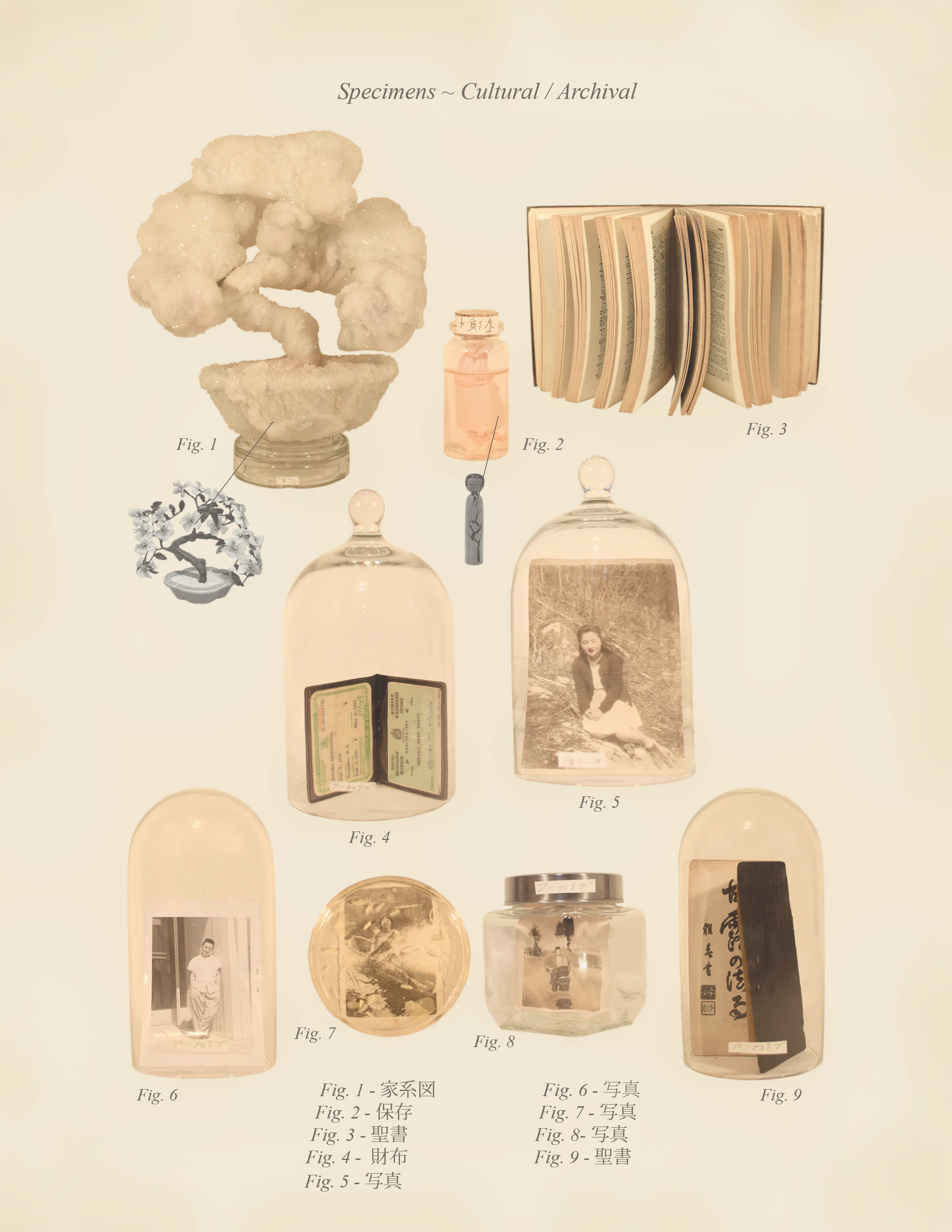 Warm Bodies, Ghostly Specimens, Stoic Machines | Textbook Pages by Marli Davis...