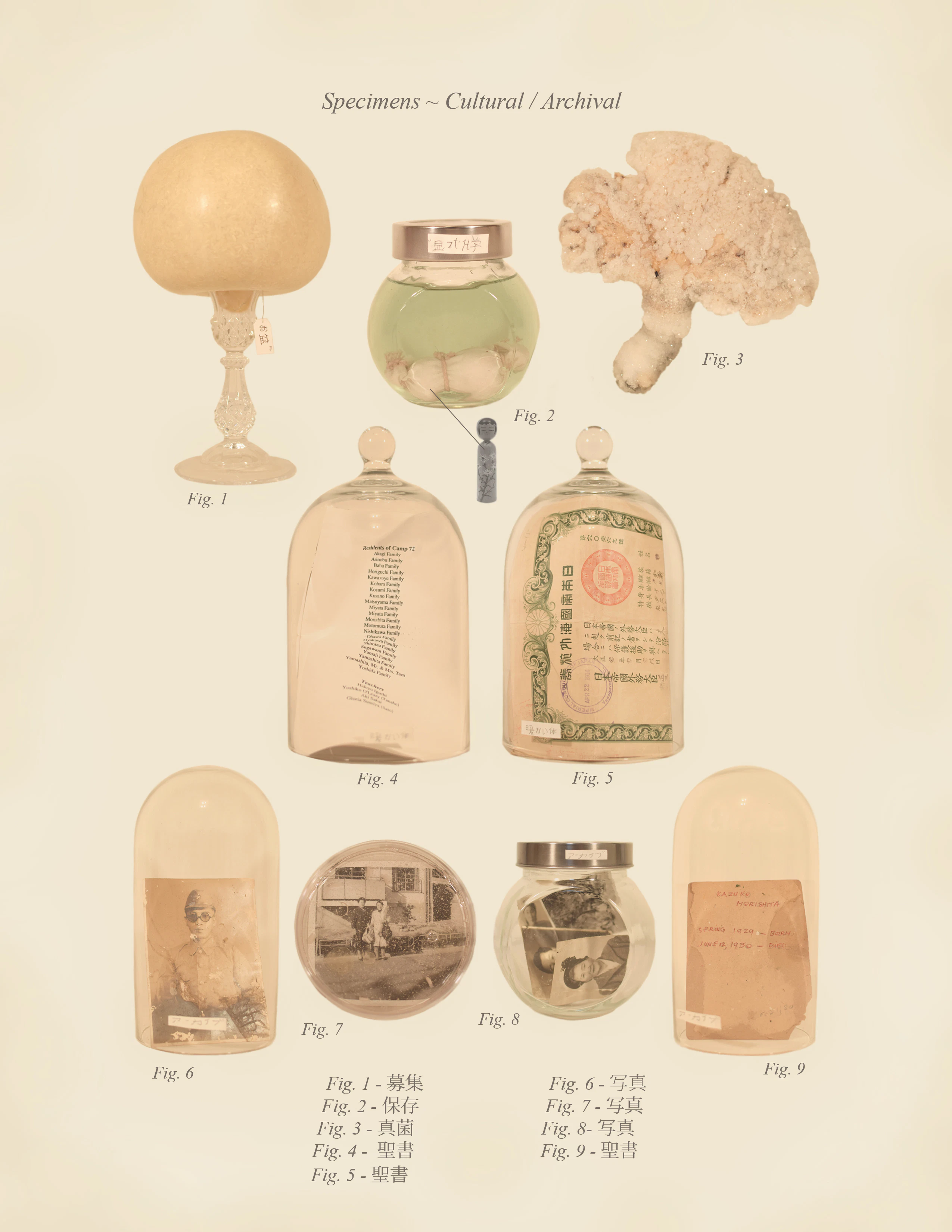 Warm Bodies, Ghostly Specimens, Stoic Machines | Textbook Pages by Marli Davis...