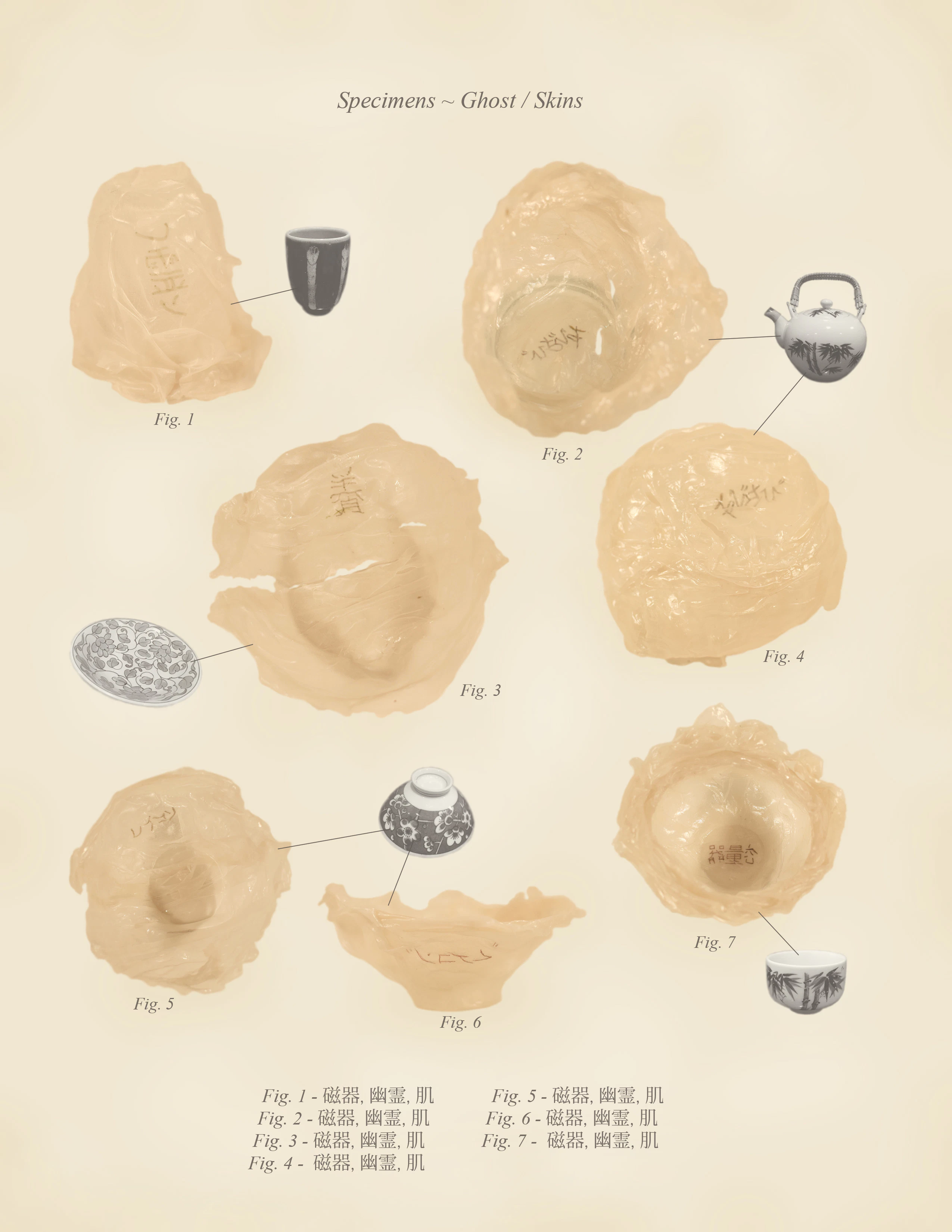 Warm Bodies, Ghostly Specimens, Stoic Machines | Textbook Pages by Marli Davis...