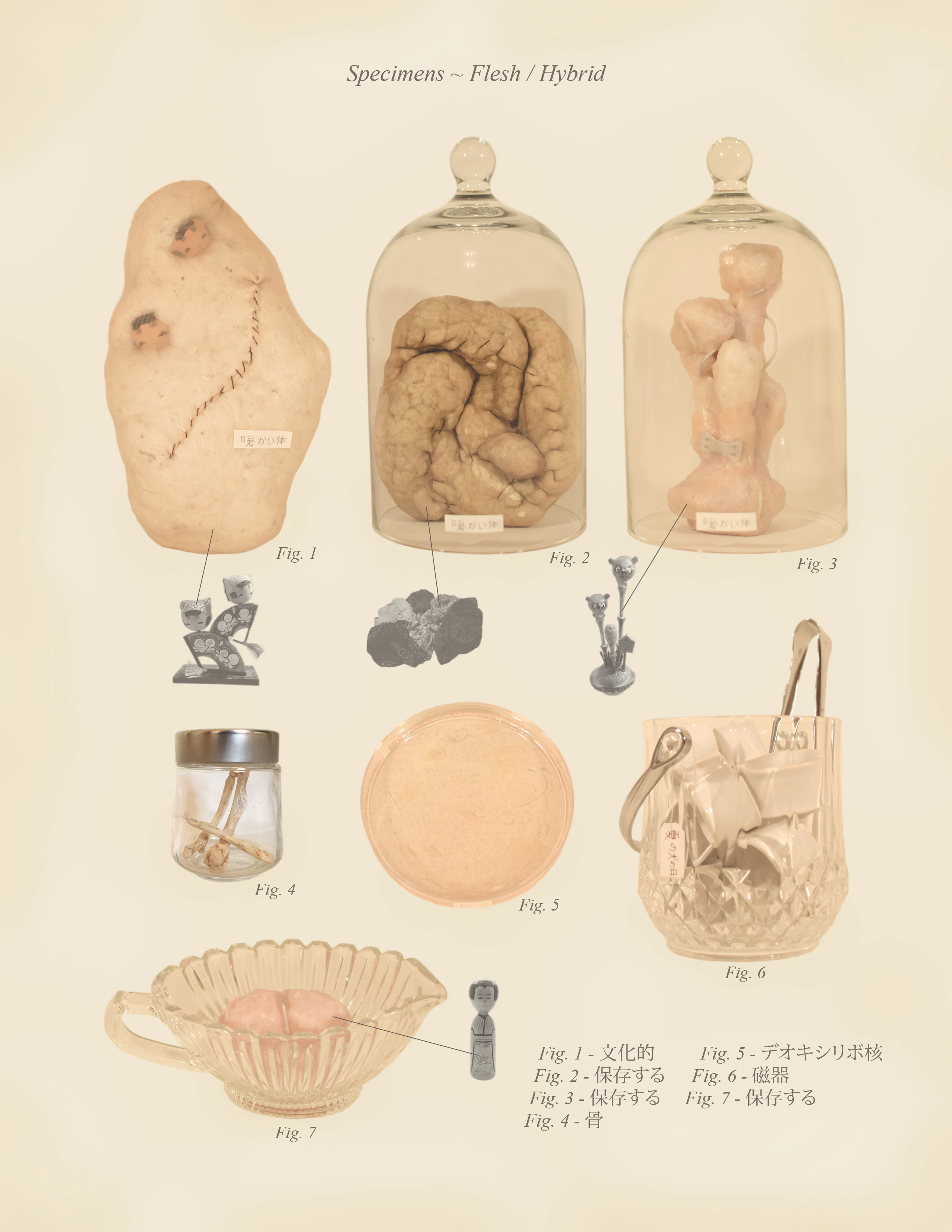 Warm Bodies, Ghostly Specimens, Stoic Machines | Textbook Pages by Marli Davis...