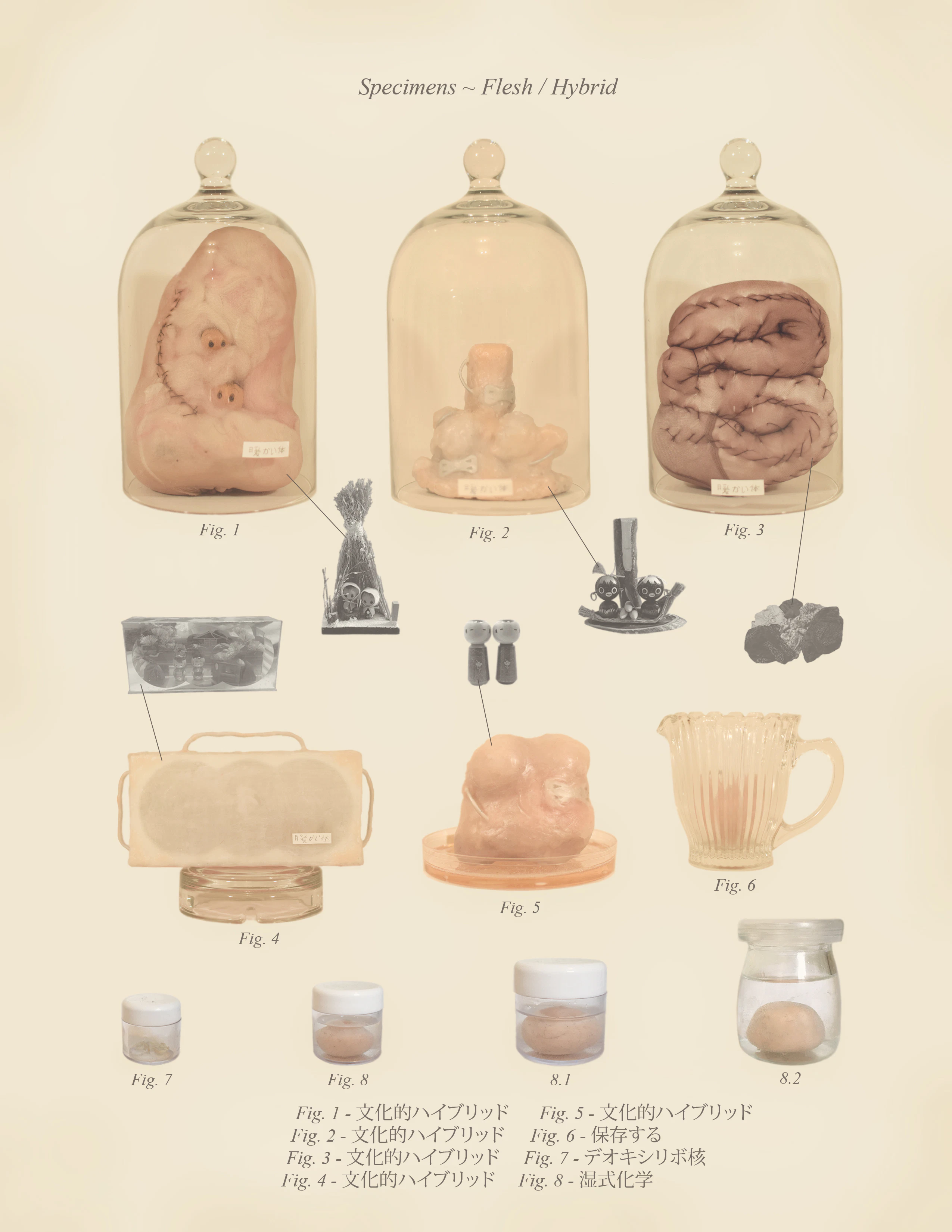 Warm Bodies, Ghostly Specimens, Stoic Machines | Textbook Pages by Marli Davis...