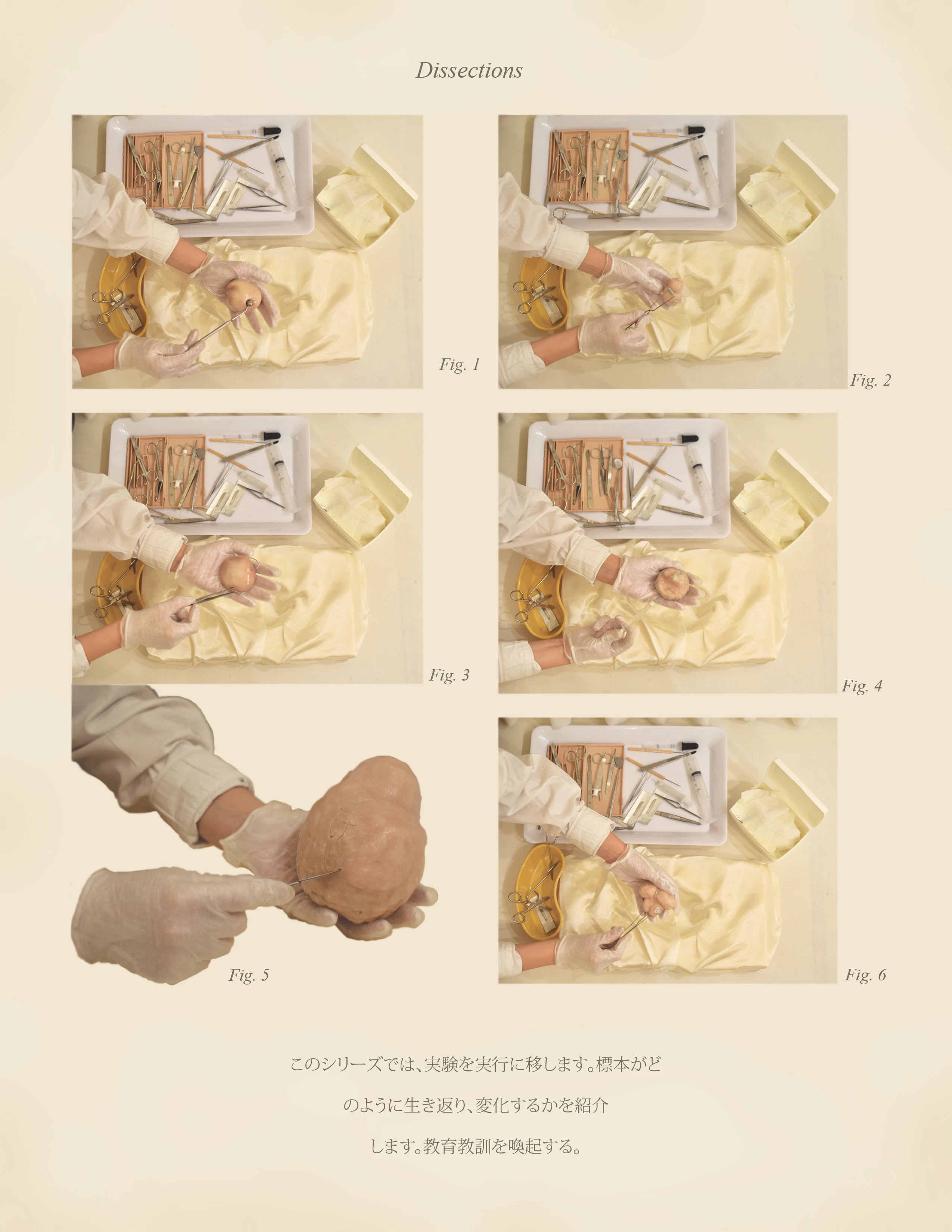 Warm Bodies, Ghostly Specimens, Stoic Machines | Textbook Pages by Marli Davis...
