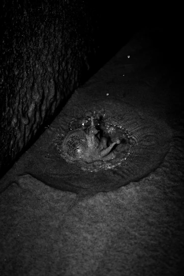 Alien, 2021 (Part of the series Betwixt & Between.)