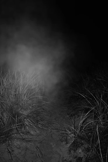 Oh, Whistle, and I’ll come to you, 2021 (Part of the series Betwixt & Between.)