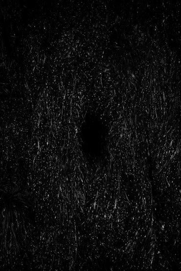 Between, 2021 (Part of the series Betwixt & Between.)