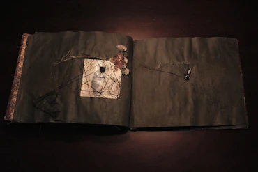 Ejercicios de memoria, Desplazamiento (Visual Arts)