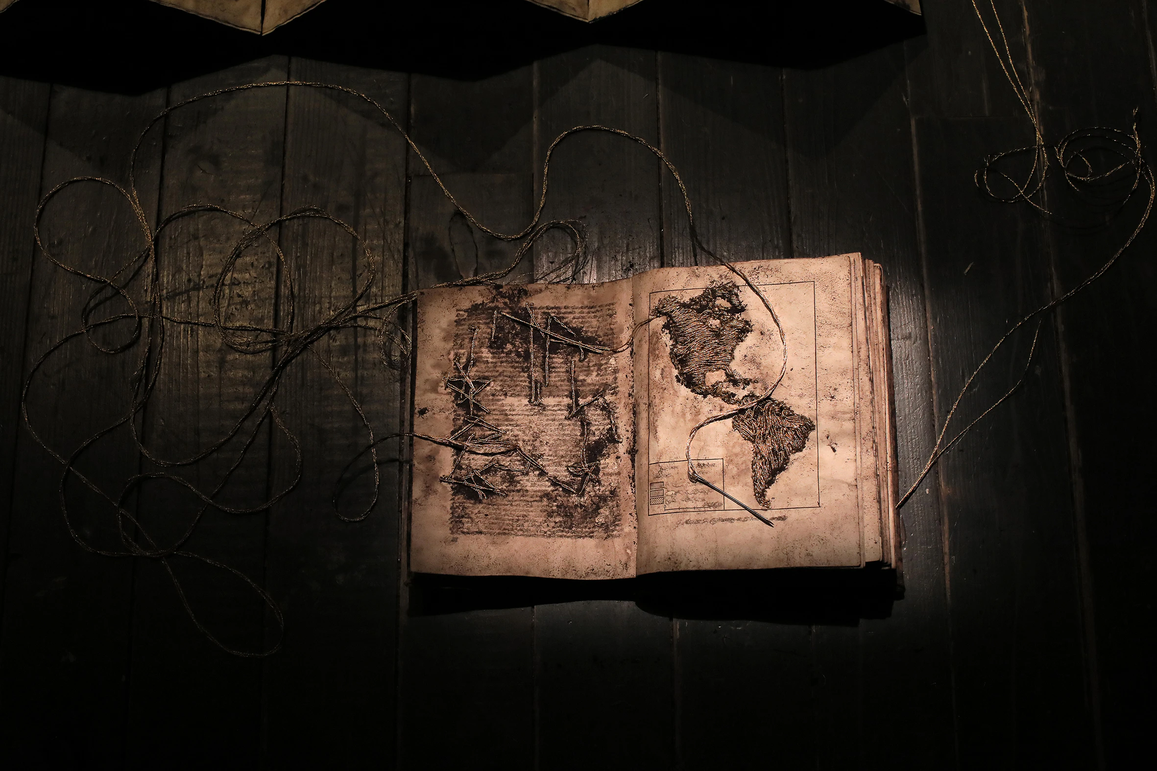 Resiliencia / Résilience (Visual Arts). by Camila Rodríguez Triana...