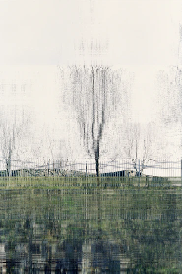 1.12.2009 (Tree)