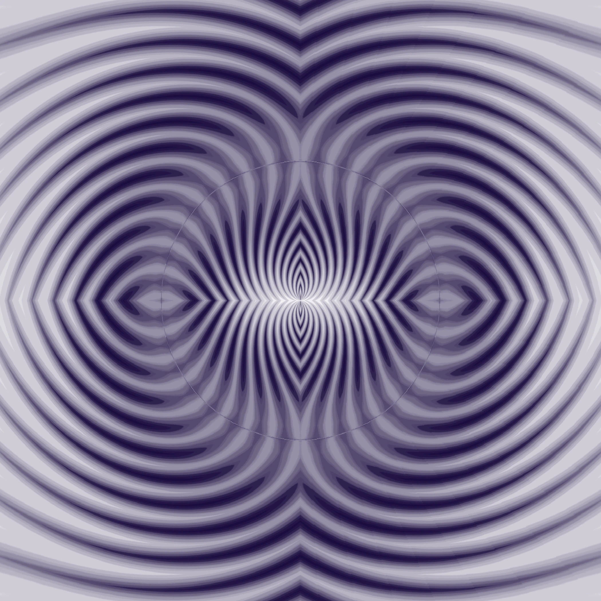lavender illusion