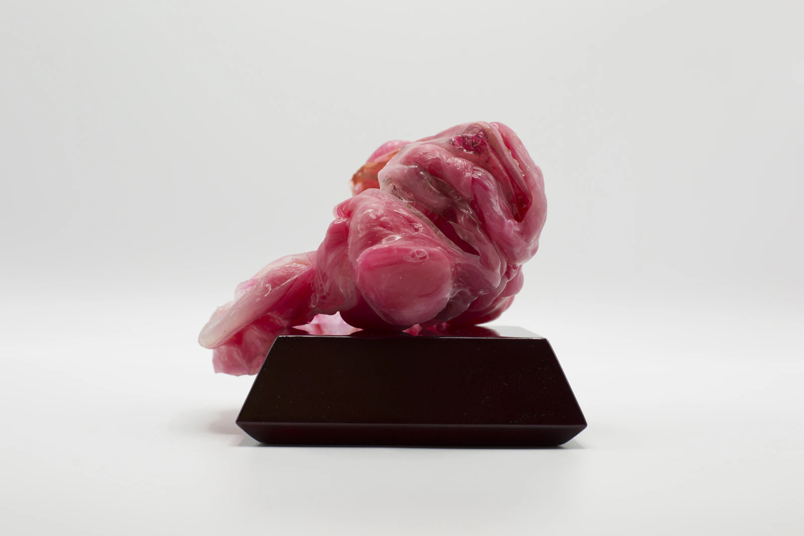 Fingerprints by Jia-Jen Lin...