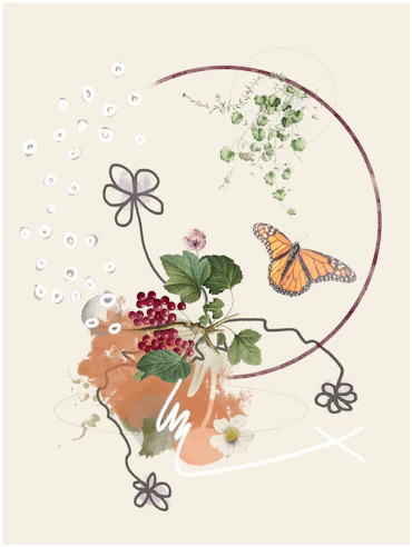Food for the Monarchs