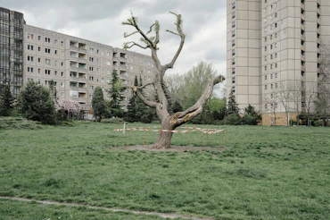 "The Invisible Wall" Ernst-Thälmann-Park, Prenzlauer Berg, Berlin (2021)