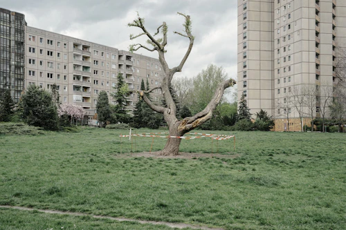 "The Invisible Wall" Ernst-Thälmann-Park, Prenzlauer Berg, Berlin (2021) 