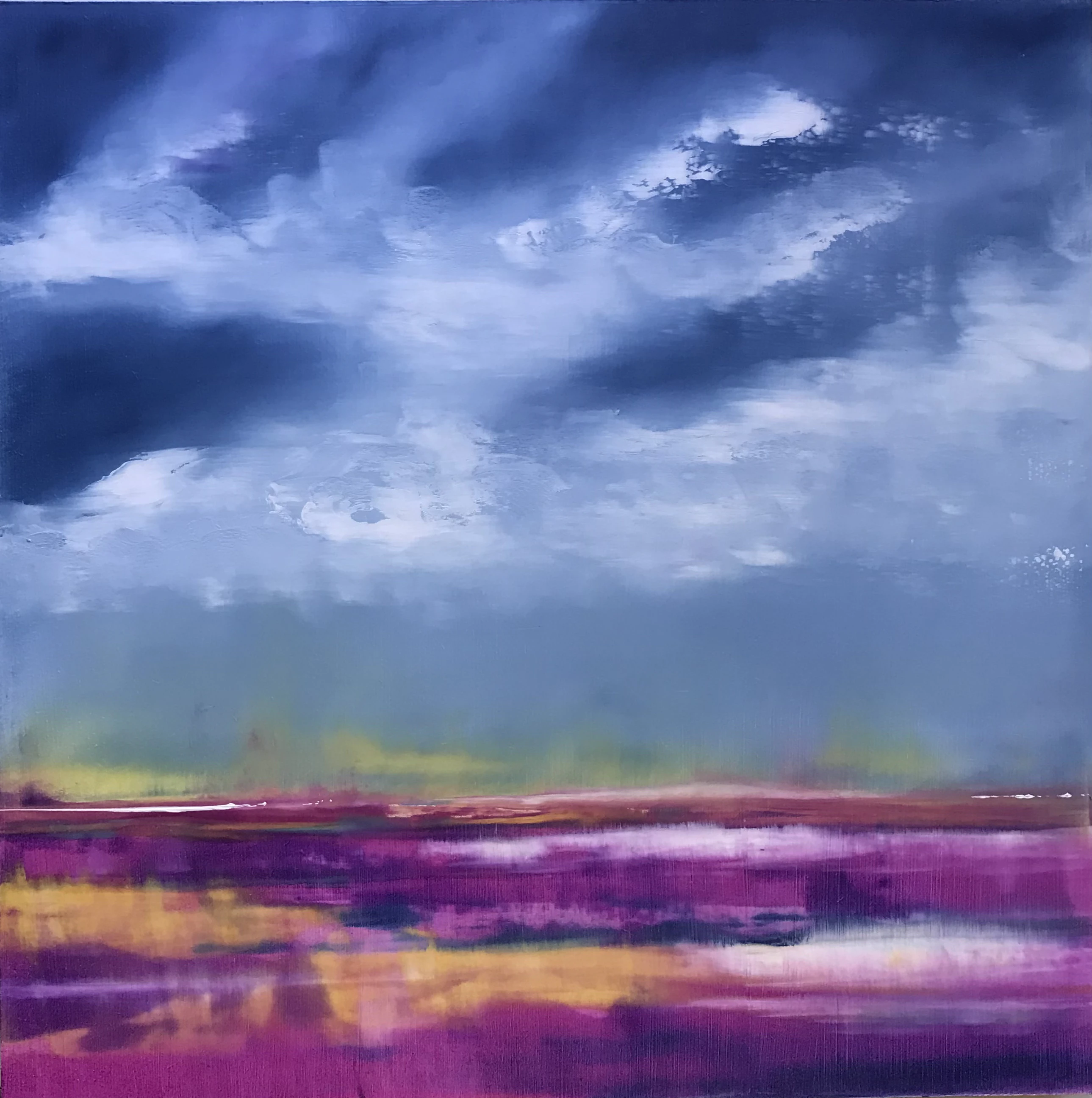 Skies - "Purple Fields"