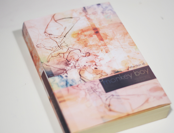 Cover illustration Monkey Boy by Angela Mercedes Donna Otto...