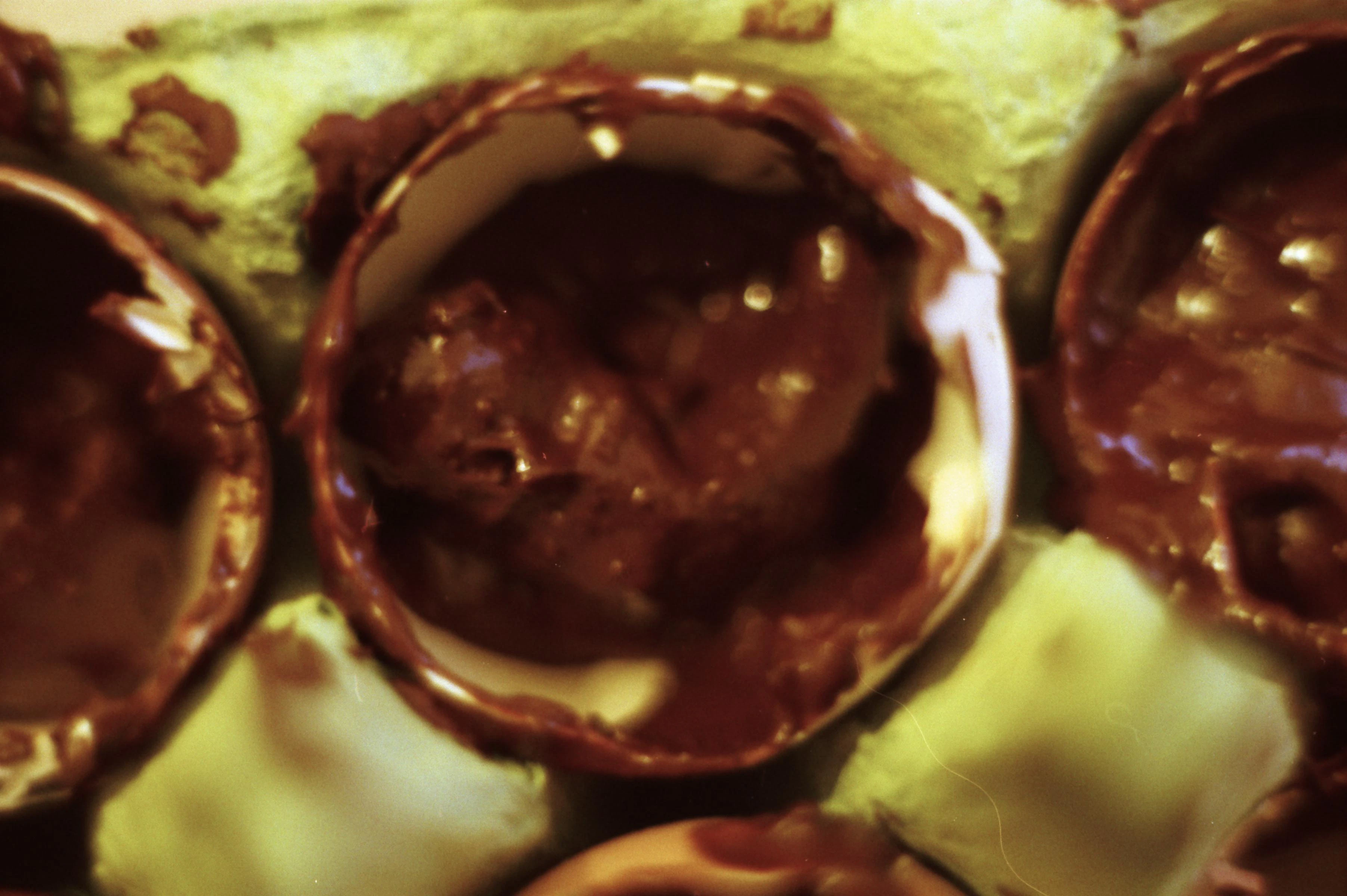 Dead born embryos covered in chocolate