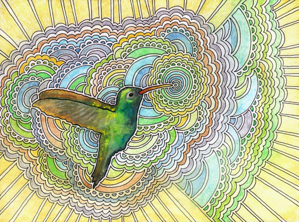 Hummingbird Drawing Meditation