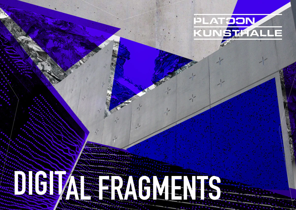 Digital Fragments