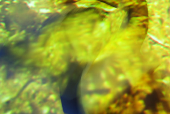 Body, Provocation by Elizabeth Delfs...