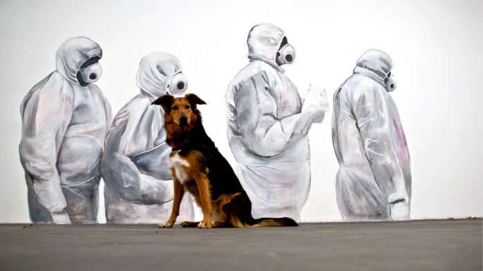 Everything Amazing - Nobody Happy | The Walking Heads by Julia Benz...