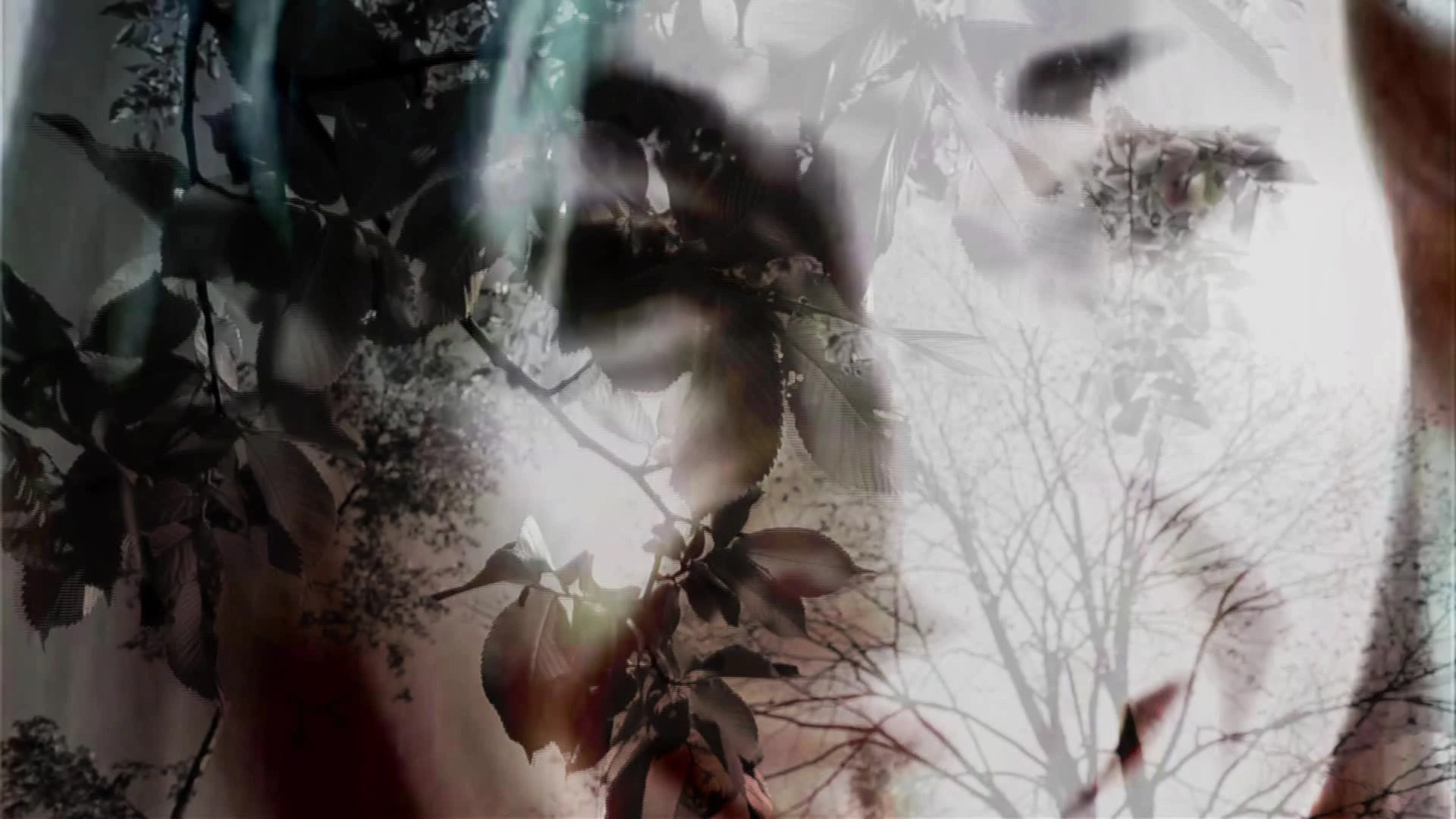 The I Love You Project: Kreuzberg at Where Is Jesus (come say I Love You on camera) by Debbie Davies...